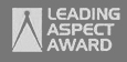 Leading Aspect Award